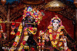 Daily Darshan
