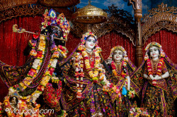 Daily Darshan