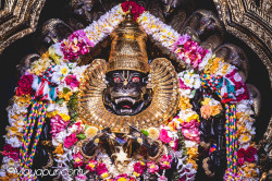 Daily Darshan