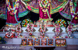 Daily Darshan