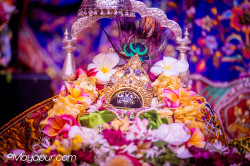 Daily Darshan