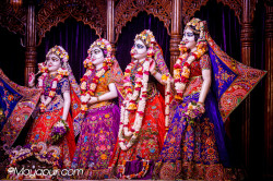 Daily Darshan