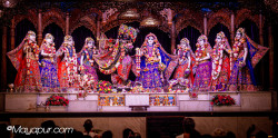 Daily Darshan