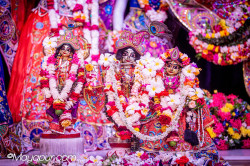 Daily Darshan
