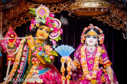 Daily Darshan