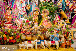 Daily Darshan