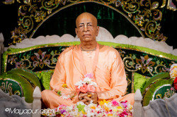 Daily Darshan