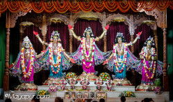 Daily Darshan
