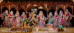 Daily Darshan