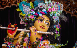 Daily Darshan