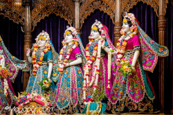 Daily Darshan