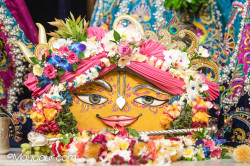 Daily Darshan