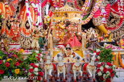 Daily Darshan