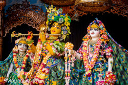 Daily Darshan
