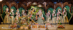 Daily Darshan