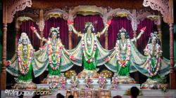 Daily Darshan