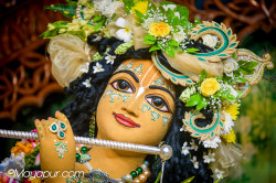 Daily Darshan