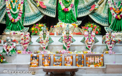 Daily Darshan