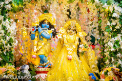 Daily Darshan