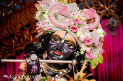 Daily Darshan