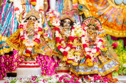 Daily Darshan