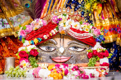Daily Darshan