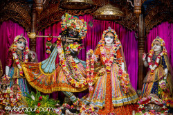 Daily Darshan