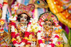 Daily Darshan