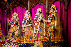 Daily Darshan