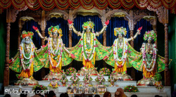 Daily Darshan