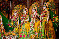 Daily Darshan
