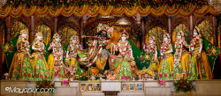 Daily Darshan