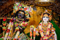 Daily Darshan