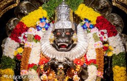 Daily Darshan