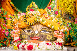 Daily Darshan