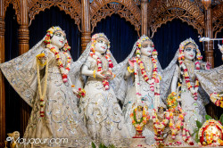 Daily Darshan