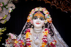 Daily Darshan