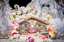 Daily Darshan