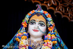 Daily Darshan