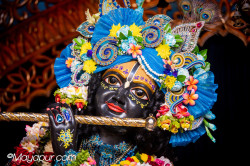 Daily Darshan