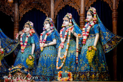 Daily Darshan