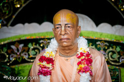 Daily Darshan