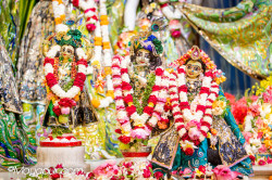Daily Darshan