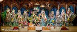 Daily Darshan