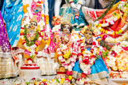 Daily Darshan