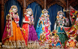 Daily Darshan