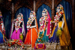 Daily Darshan