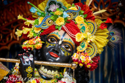 Daily Darshan