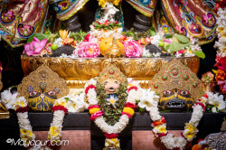 Daily Darshan