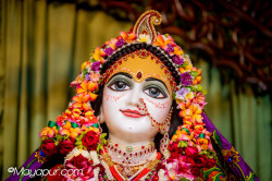 Daily Darshan